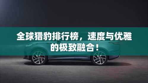 全球猎豹排行榜,速度与优雅的极致融合!