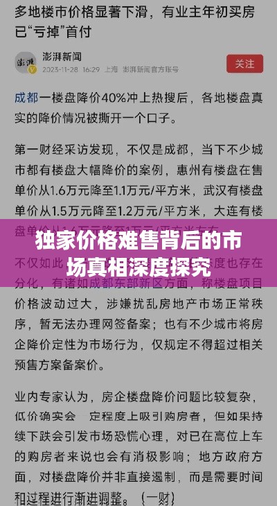独家价格难售背后的市场真相深度探究