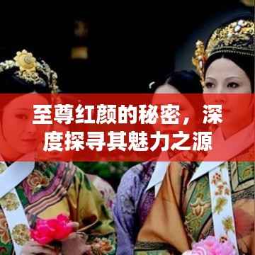 至尊红颜的秘密,深度探寻其魅力之源