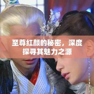 至尊红颜的秘密,深度探寻其魅力之源