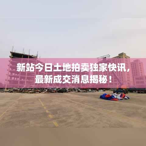 新站今日土地拍卖独家快讯,最新成交消息揭秘!
