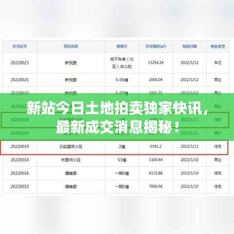 新站今日土地拍卖独家快讯,最新成交消息揭秘!