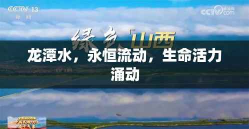 龙潭水,永恒流动,生命活力涌动