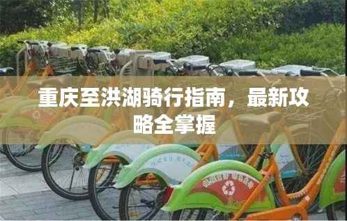 重庆至洪湖骑行指南，最新攻略全掌握