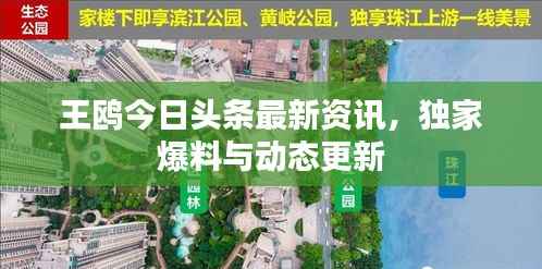 王鸥今日头条最新资讯,独家爆料与动态更新