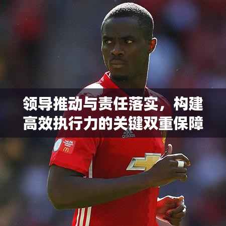 领导推动与责任落实,构建高效执行力的关键双重保障
