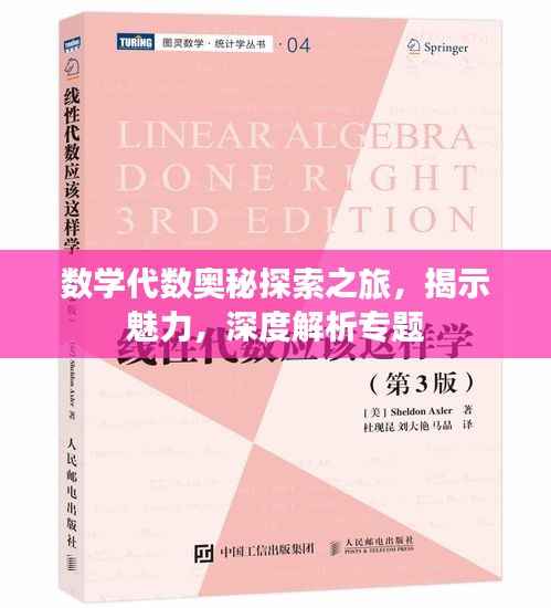 数学代数奥秘探索之旅,揭示魅力,深度解析专题