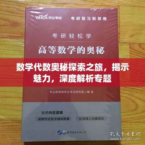 数学代数奥秘探索之旅,揭示魅力,深度解析专题