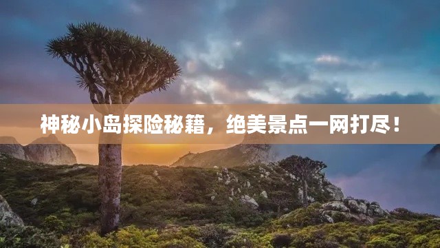 神秘小岛探险秘籍,绝美景点一网打尽!