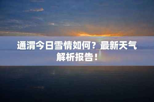 通渭今日雪情如何?最新天气解析报告!