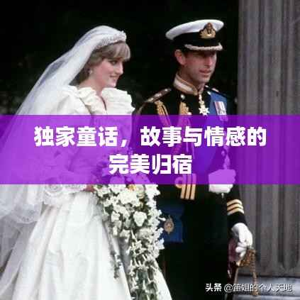 独家童话,故事与情感的完美归宿