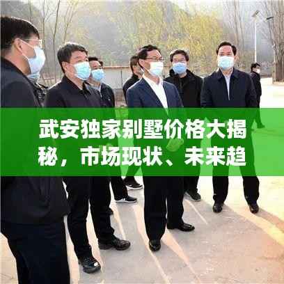 武安独家别墅价格大揭秘，市场现状、未来趋势洞悉