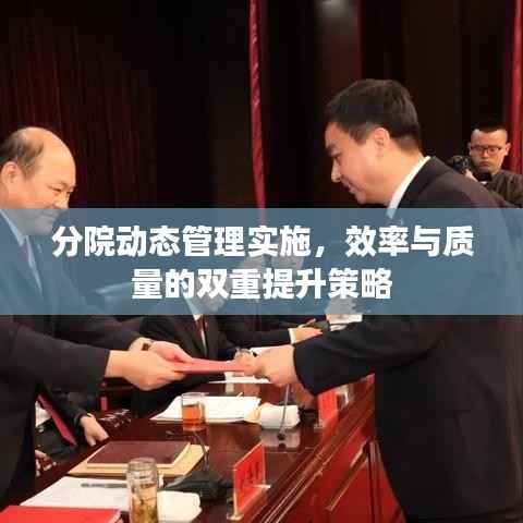 分院动态管理实施,效率与质量的双重提升策略