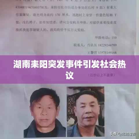 湖南耒阳突发事件引发社会热议