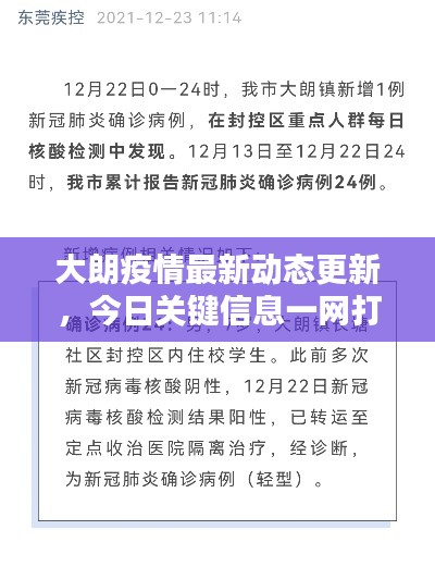 大朗疫情最新动态更新,今日关键信息一网打尽
