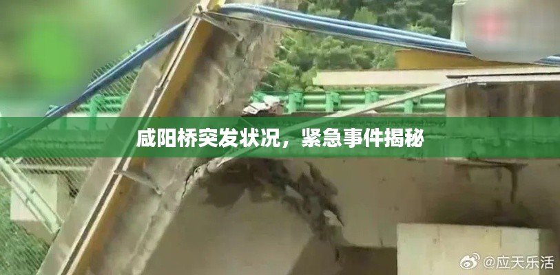 咸阳桥突发状况,紧急事件揭秘
