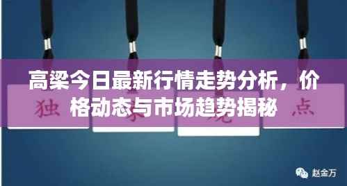 高梁今日最新行情走势分析，价格动态与市场趋势揭秘