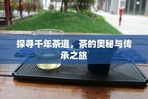 探寻千年茶道,茶的奥秘与传承之旅