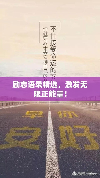 励志语录精选，激发无限正能量！