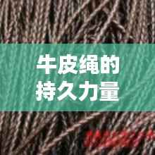 牛皮绳的持久力量,坚韧之源