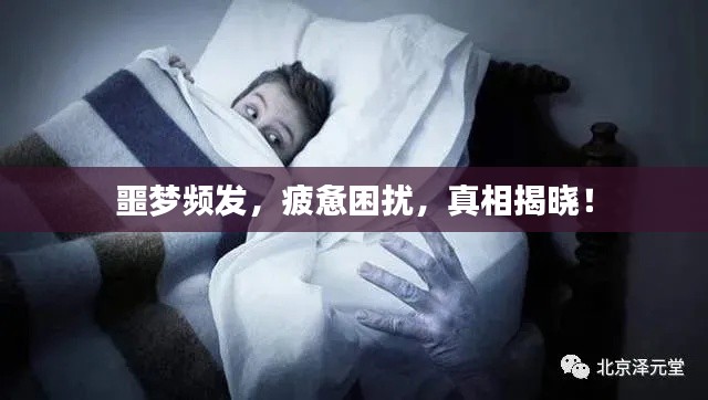 噩梦频发,疲惫困扰,真相揭晓!