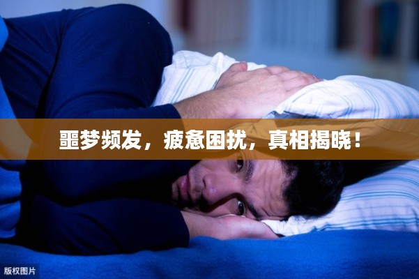 噩梦频发,疲惫困扰,真相揭晓!
