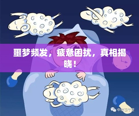 噩梦频发,疲惫困扰,真相揭晓!