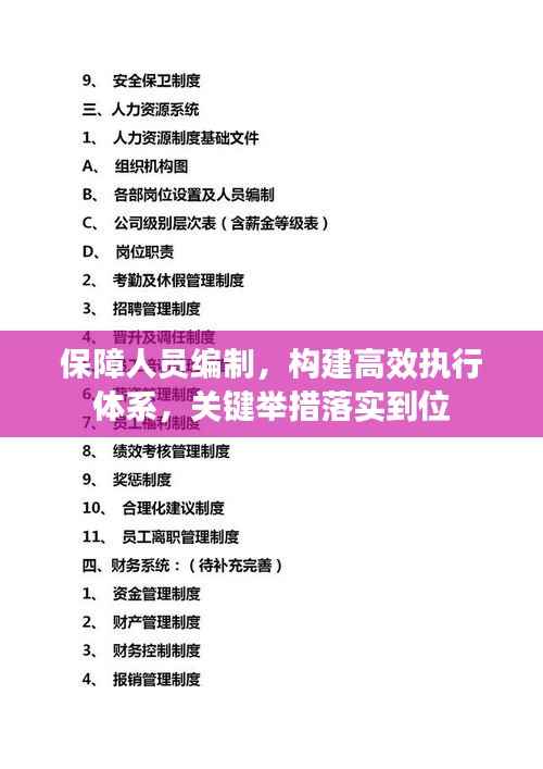 保障人员编制,构建高效执行体系,关键举措落实到位