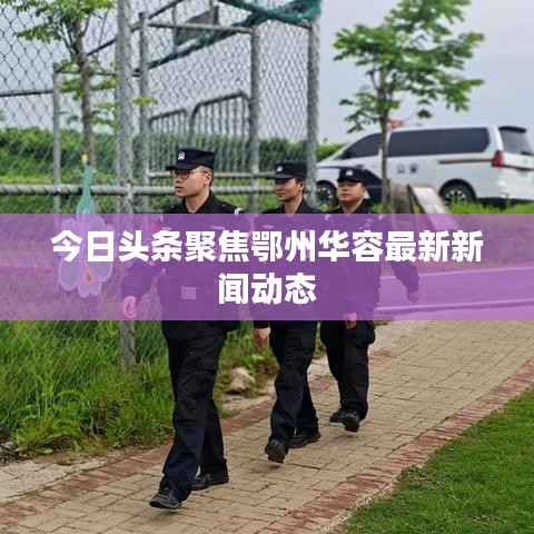 今日头条聚焦鄂州华容最新新闻动态