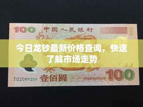 今日龙钞最新价格查询,快速了解市场走势