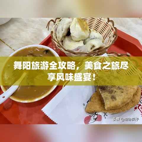 舞阳旅游全攻略,美食之旅尽享风味盛宴!