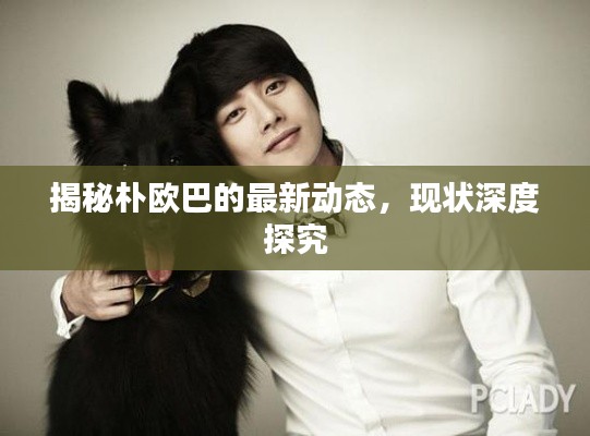 揭秘朴欧巴的最新动态,现状深度探究