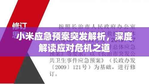 小米应急预案突发解析，深度解读应对危机之道