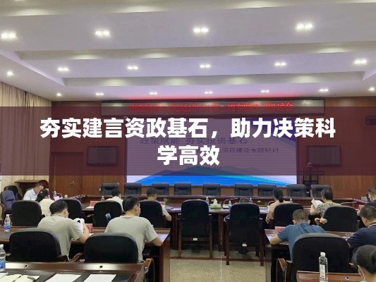 夯实建言资政基石,助力决策科学高效