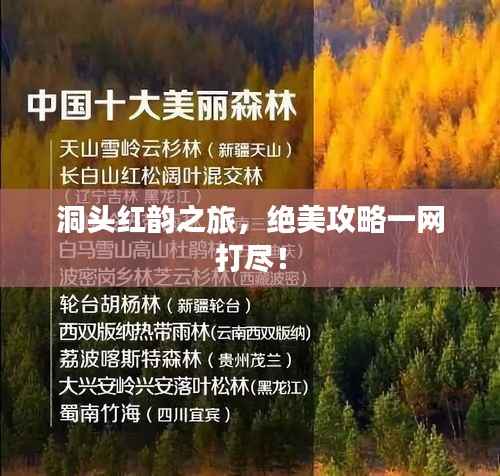 洞头红韵之旅,绝美攻略一网打尽!