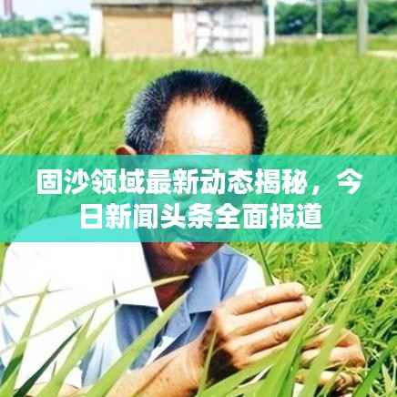 固沙领域最新动态揭秘,今日新闻头条全面报道