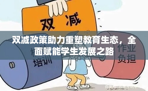 双减政策助力重塑教育生态，全面赋能学生发展之路