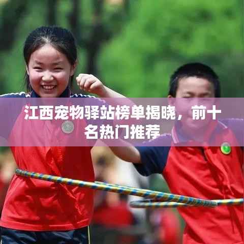 江西宠物驿站榜单揭晓,前十名热门推荐