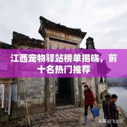 江西宠物驿站榜单揭晓,前十名热门推荐