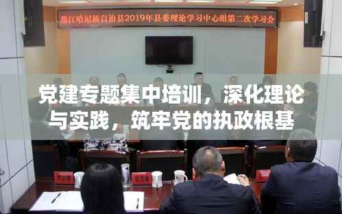 党建专题集中培训,深化理论与实践,筑牢党的执政根基