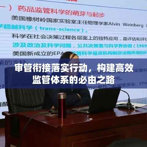 审管衔接落实行动,构建高效监管体系的必由之路