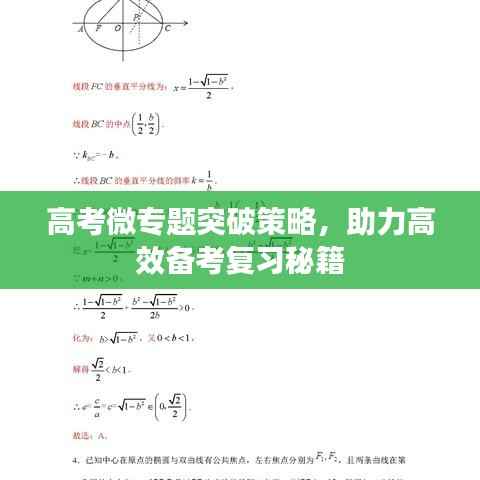 高考微专题突破策略,助力高效备考复习秘籍