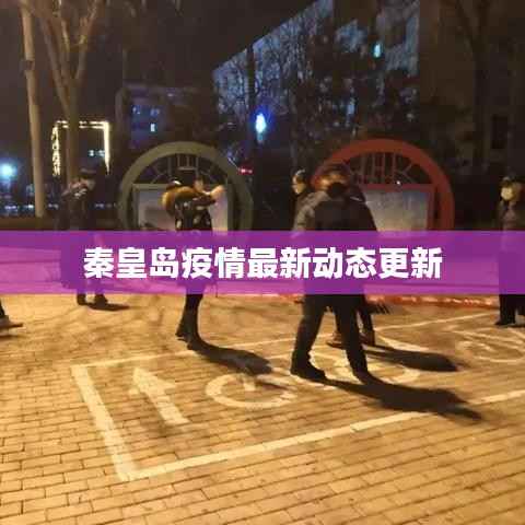 秦皇岛疫情最新动态更新