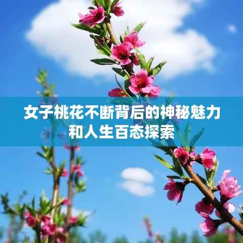 女子桃花不断背后的神秘魅力和人生百态探索