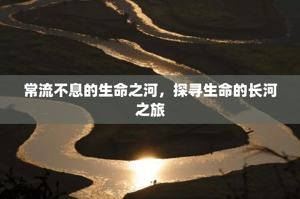 常流不息的生命之河,探寻生命的长河之旅