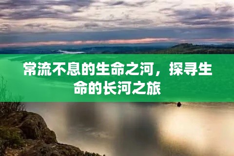 常流不息的生命之河,探寻生命的长河之旅