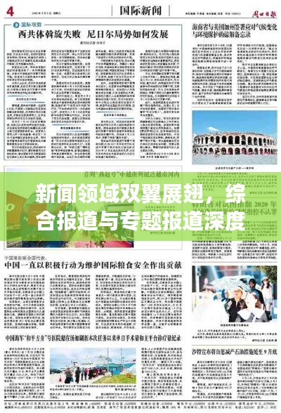新闻领域双翼展翅,综合报道与专题报道深度剖析