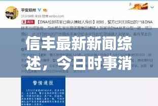 信丰最新新闻综述，今日时事消息全解析