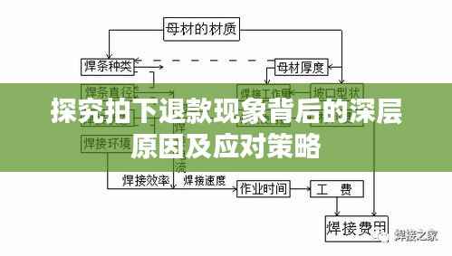 探究拍下退款现象背后的深层原因及应对策略