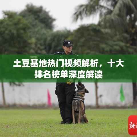 土豆基地热门视频解析，十大排名榜单深度解读